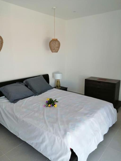 Residence Canne Mapou 2 1 Chambre 圣皮埃尔 外观 照片