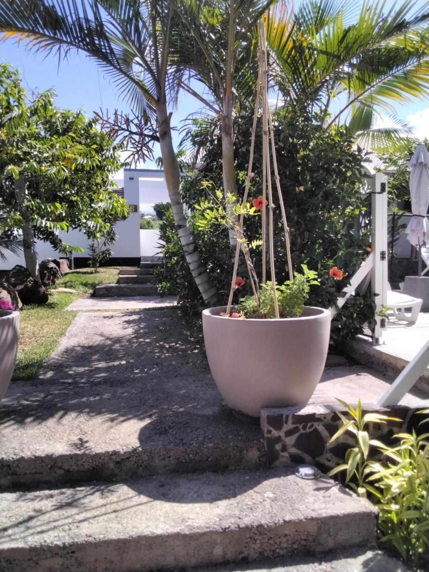 Residence Canne Mapou 2 1 Chambre 圣皮埃尔 客房 照片